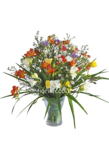 Bouquet di fresie assortite.