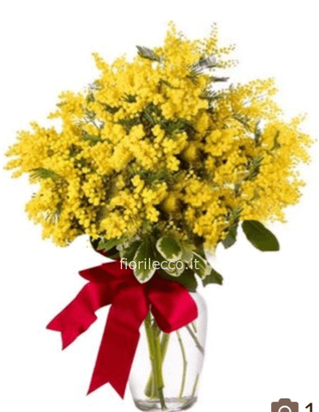 Mazzo mimosa 