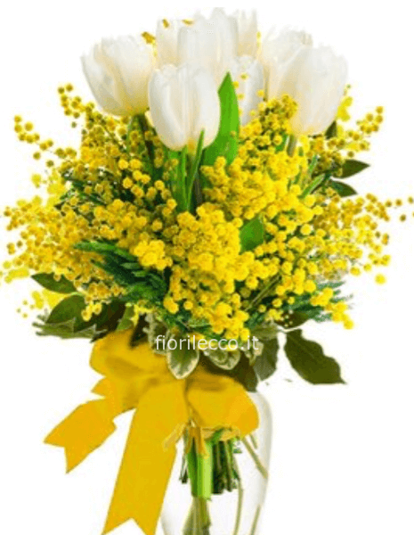 Mimosa con tulipani 🌷