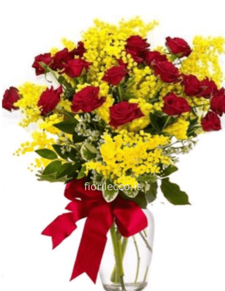 Mazzo mimosa con 24 rose rosse