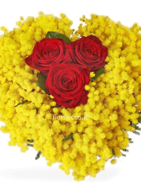 cuore di mimosa e rose rosse