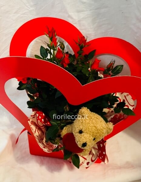 Rosellina nel cuore